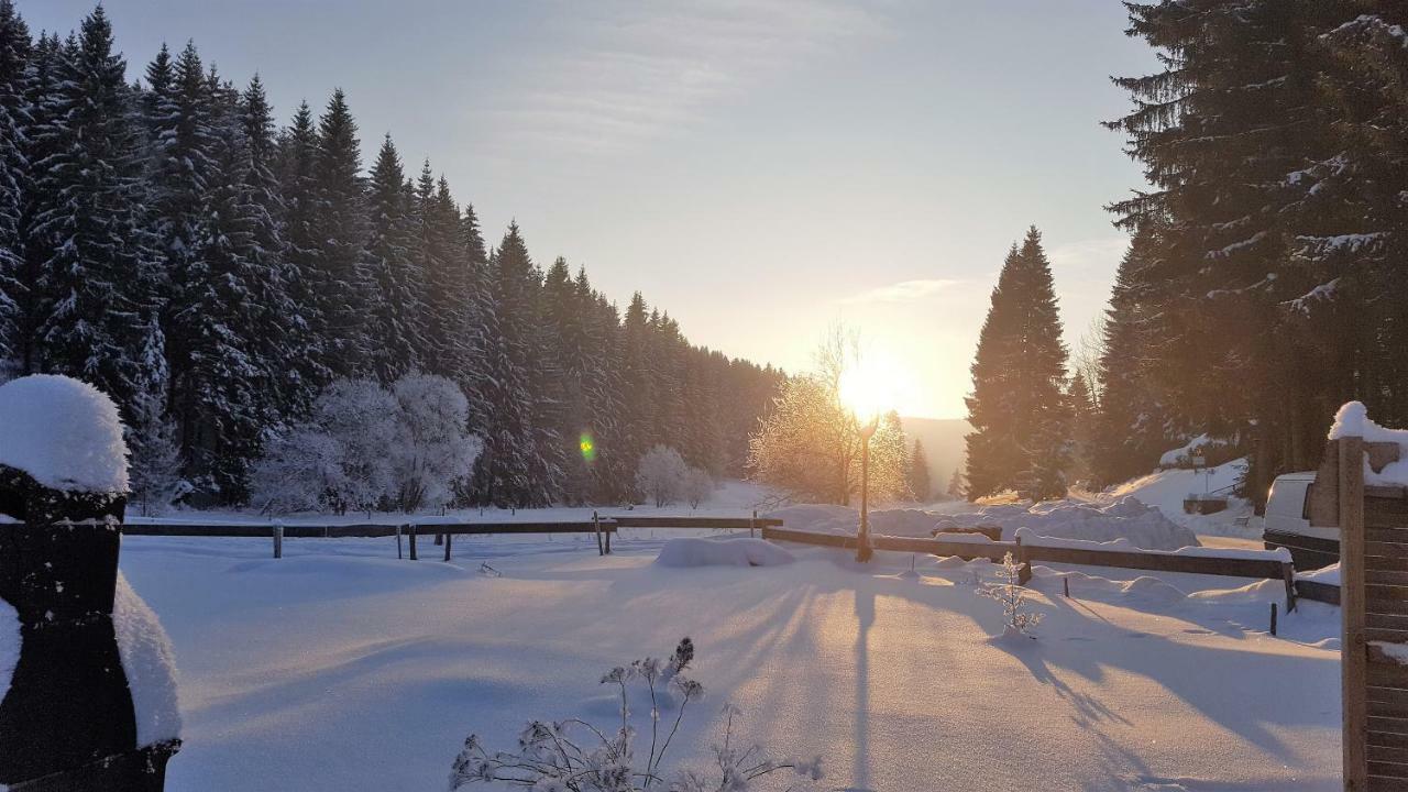 Pension & Gasthof "Am Park" Ug Stützerbach 외부 사진